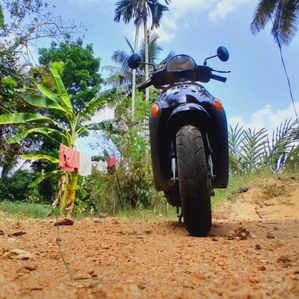 Suzuki 48CC 2013 - Image 2