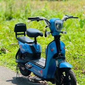 e bike 2024 - Image 2