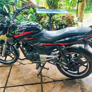 Bajaj Pulsar 150 2009 - Image 3