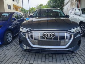 Audi e-tron Q8 50 QUATTRO 2024