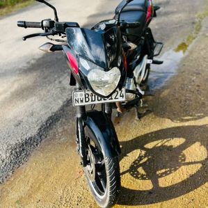 Bajaj Pulsar 135 LS 2016 - Image 3