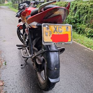 Bajaj Pulsar 135 2011 - Image 3