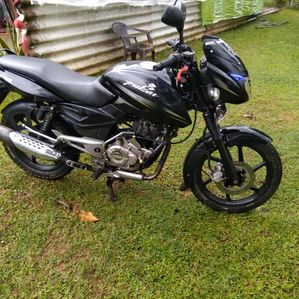 Bajaj Pulsar 150 2016 - Image 2