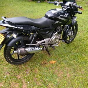 Bajaj Pulsar 150 2016 - Image 3