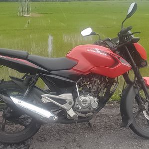 Bajaj Pulsar 135 2013 - Image 3