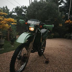 Kawasaki KDX 1998 - Image 3