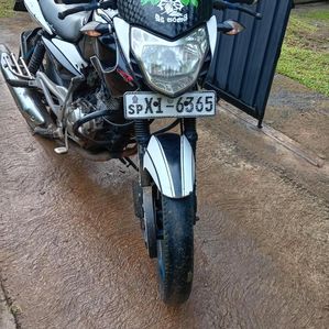 Bajaj Pulsar 135 2012 - Image 3