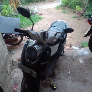 Demak Rino 2015 - Image 3
