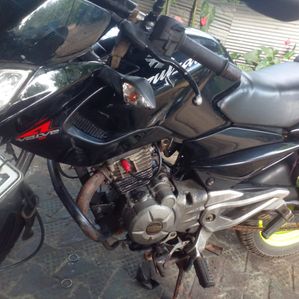 Bajaj Pulsar 135 2011 - Image 2
