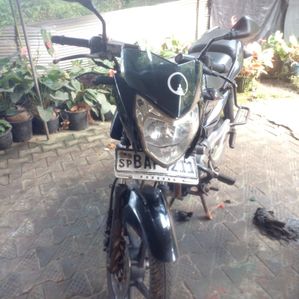 Bajaj Pulsar 135 2011 - Image 3