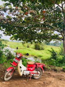 Honda MD 2004