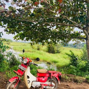 Honda MD 2004 - Image 2