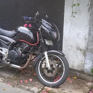 Bajaj Pulsar 180 2007 - Image 3