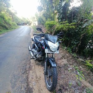 Bajaj Pulsar 135 (2016) 2016 - Image 3
