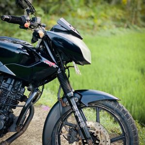 Bajaj Pulsar 135 2011 - Image 3