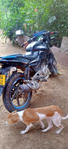 Bajaj Pulsar 180 2016