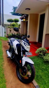 Honda Hornet 2016