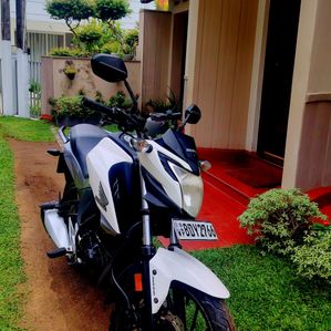 Honda Hornet 2016 - Image 2