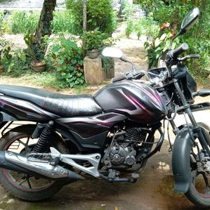 Bajaj Discover 125 2014 - Image 2