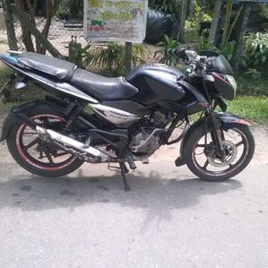 Bajaj Pulsar 135 2011 - Image 2