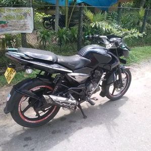 Bajaj Pulsar 135 2011 - Image 3