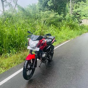 Bajaj Pulsar 135 2015 - Image 2