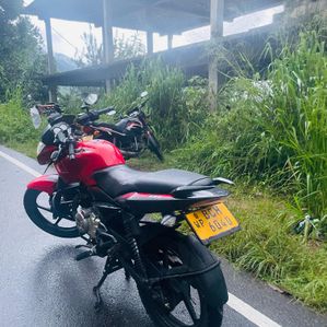 Bajaj Pulsar 135 2015 - Image 3