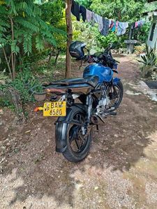 Bajaj Pulsar 135 2014