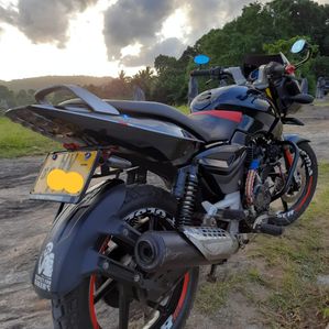 Bajaj Pulsar 150 2011 - Image 3