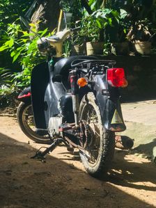 Honda Little Cub 2009
