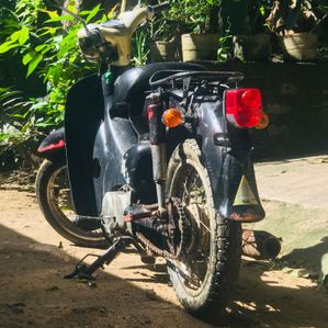 Honda Little Cub 2009 - Image 2
