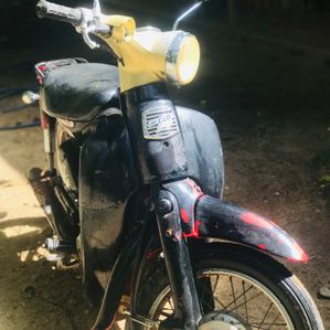 Honda Little Cub 2009 - Image 3