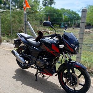 Bajaj Pulsar 150 2020 - Image 2