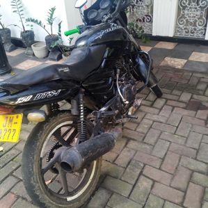 Bajaj Pulsar 150 2005 - Image 3