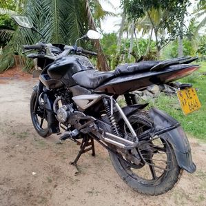 Bajaj Pulsar 135 2011 - Image 3