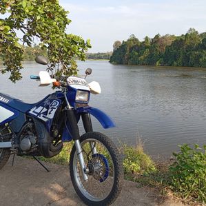 Yamaha DT 2000 - Image 2