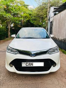Toyota Axio G Grade 2015