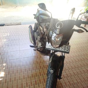 Bajaj Pulsar 135 2016 - Image 2