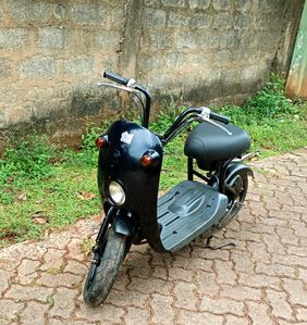 Suzuki Chori Nori 2020