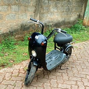 Suzuki Chori Nori 2020 - Image 2