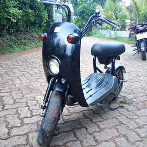 Suzuki Chori Nori 2020 - Image 3