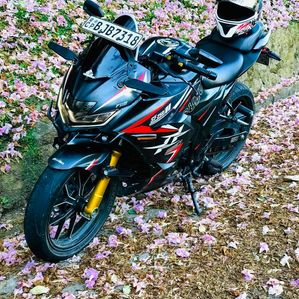 Suzuki Gixxer SF 250 Sf250 2020 - Image 3
