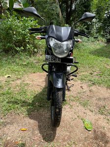 Bajaj Pulsar 135 2014