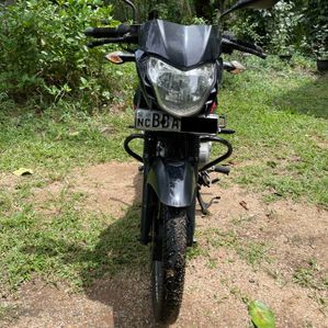 Bajaj Pulsar 135 2014 - Image 2