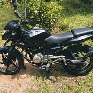 Bajaj Pulsar 135 2014 - Image 3