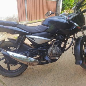 Bajaj Pulsar 135 2025 - Image 3