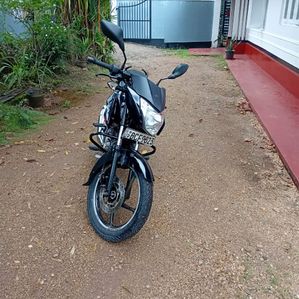 Bajaj Pulsar 135 2015 - Image 2