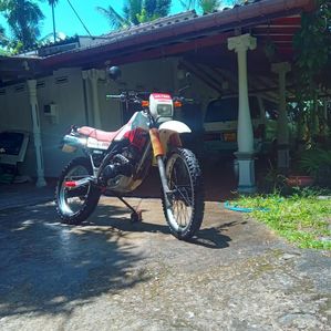 Yamaha Serow XT225 1994 - Image 2