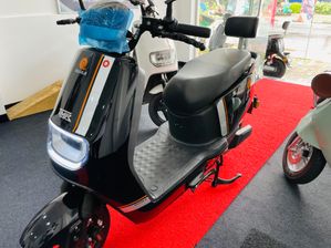 TMR Q1 Scooter 2025