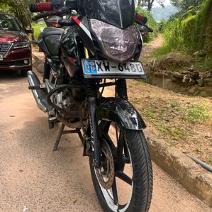 Bajaj Pulsar 135 2012 - Image 2